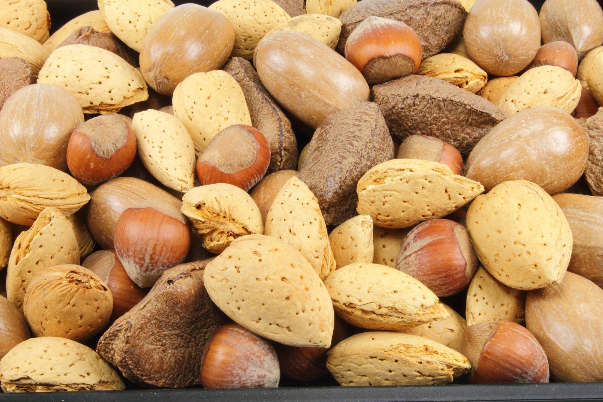 frutos secos y nueces