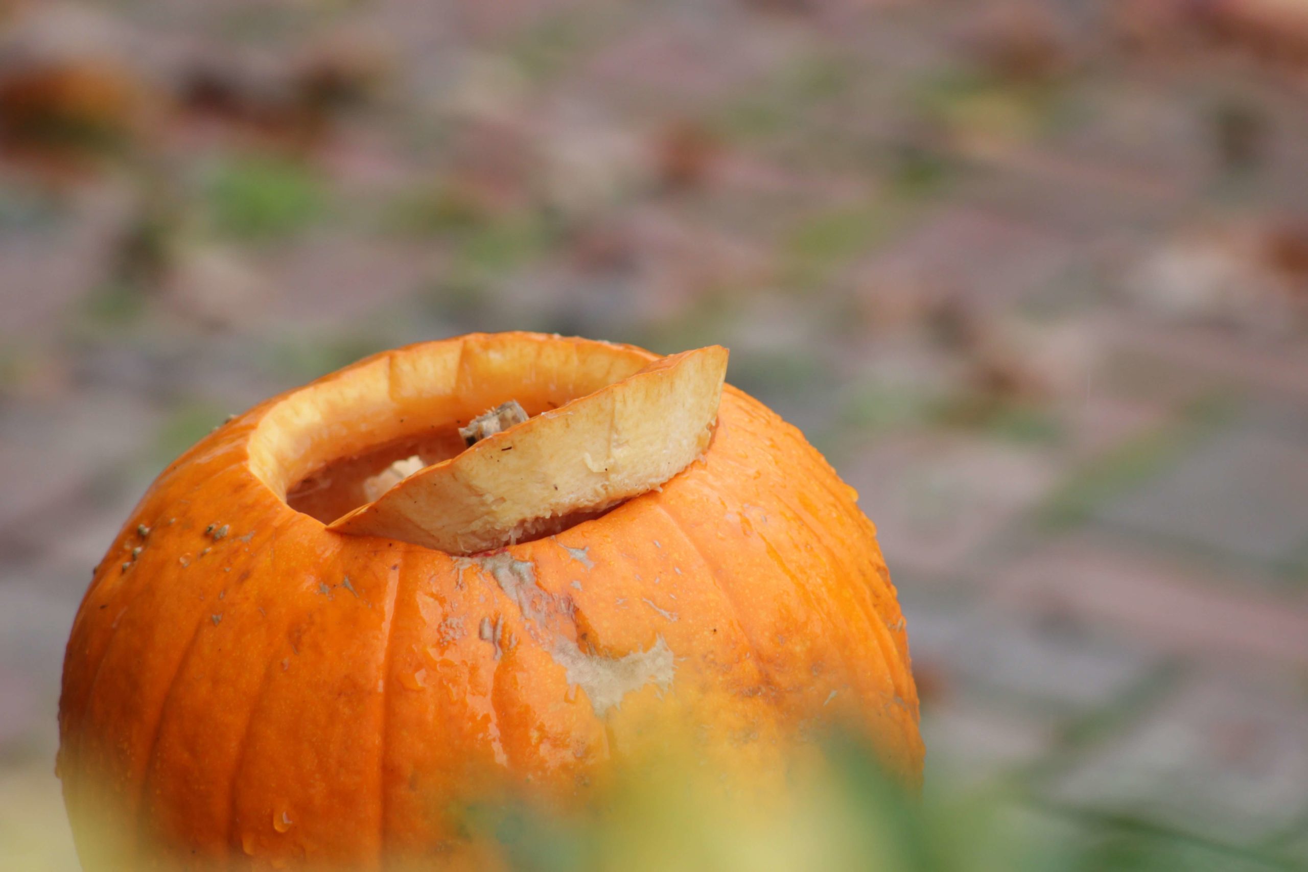 ¿Quieres adelgazar? Incluye calabaza en tu dieta